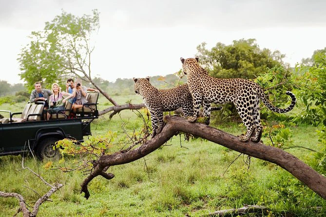 Yala National Park